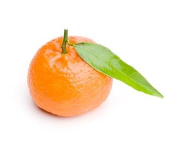 Pianta di Clementine Comune Isa